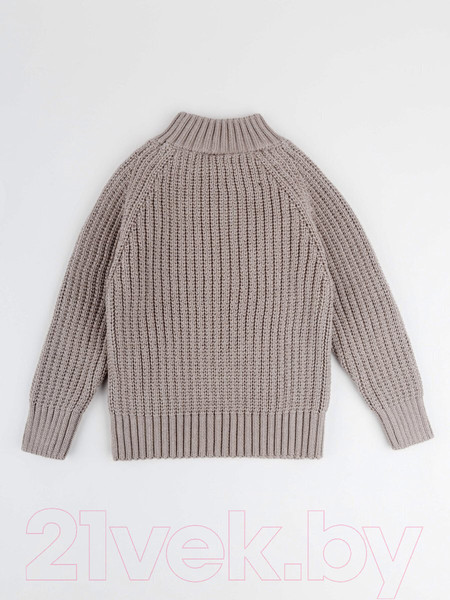 Изображение товара Джемпер для малышей Amarobaby Warm / AB-OD23-W26/12-68 (р.68, коричневый)