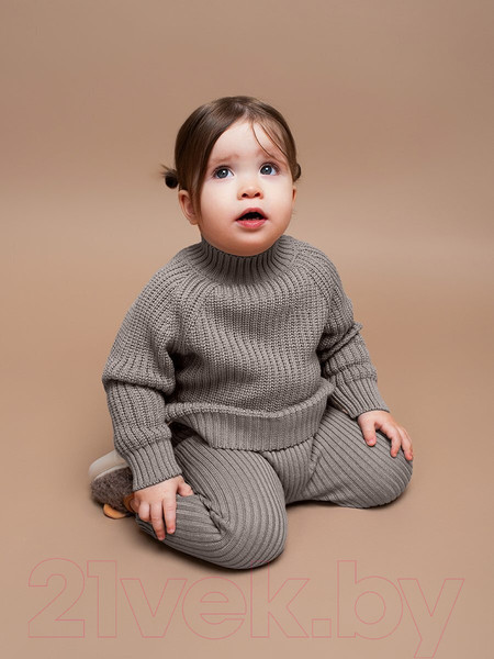 Изображение товара Джемпер для малышей Amarobaby Warm / AB-OD23-W26/12-68 (р.68, коричневый)