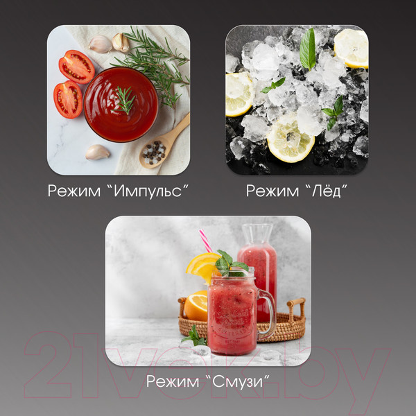 Изображение товара Блендер стационарный Zigmund & Shtain BS-447 D