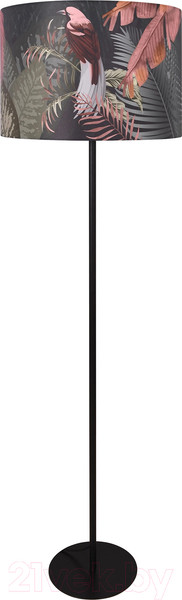 Изображение товара Торшер Moderli Tropic / V11008-F