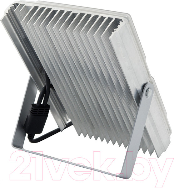 Изображение товара Прожектор Glanzen Pro-0010-100