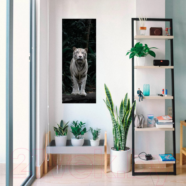 Изображение товара Картина на стекле Stamprint Белый тигр AN019 (125x50)