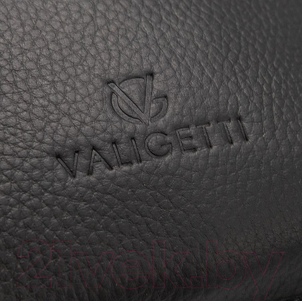 Изображение товара Рюкзак Valigetti 950-H8113OL-VG-BLK (черный)
