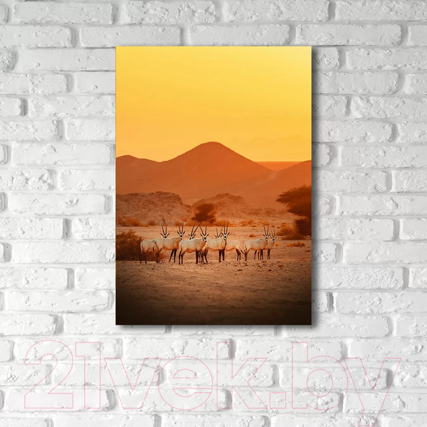 Изображение товара Картина на стекле Stamprint Саванна AN018 (100x70)