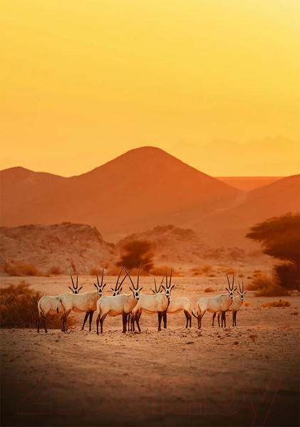 Изображение товара Картина на стекле Stamprint Саванна AN018 (100x70)