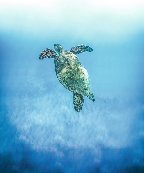 Изображение товара Картина на стекле Stamprint Всплыв AN023 (100x70)