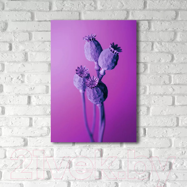 Изображение товара Картина на стекле Stamprint Маки SP022 (100x70)