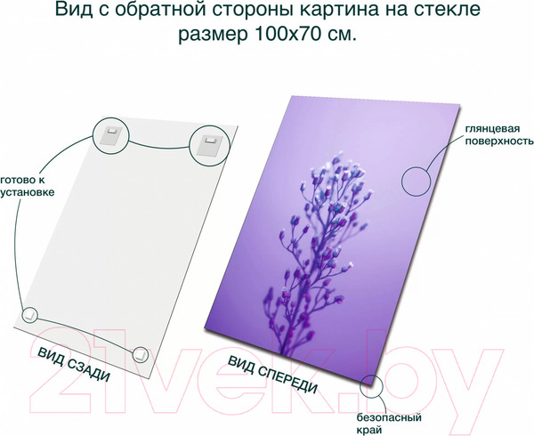 Изображение товара Картина на стекле Stamprint Ветка 2 SP024 (100x70)