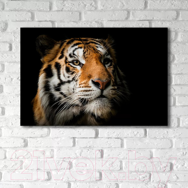 Изображение товара Картина на стекле Stamprint Солнечный тигр AN016 (80x120)