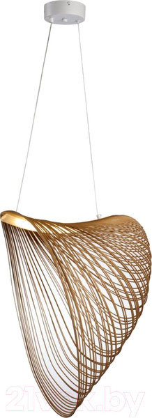 Изображение товара Потолочный светильник Aployt APL.655.03.21