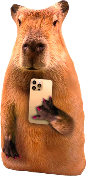 Изображение товара Подушка декоративная Leader Toys Капибара с телефоном / МТ30022