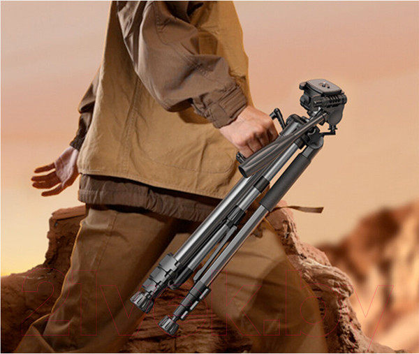 Изображение товара Штатив Ugreen Professional Tripod for Phone & Camera LP661 / 15187 (черный)