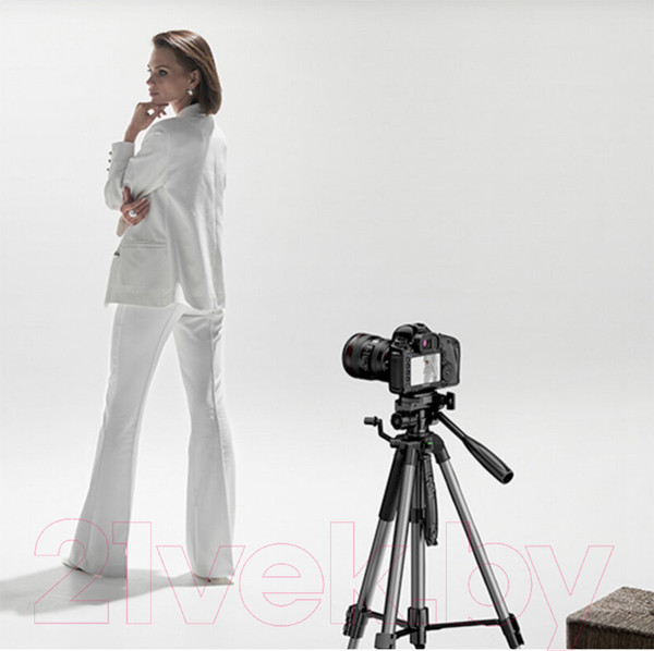Изображение товара Штатив Ugreen Professional Tripod for Phone & Camera LP661 / 15187 (черный)