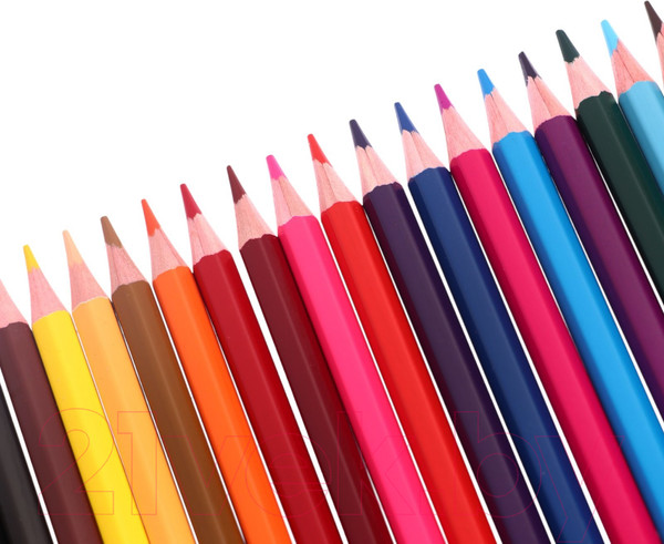 Изображение товара Набор цветных карандашей Erich Krause Jolly Friends / 61794 (24цв)