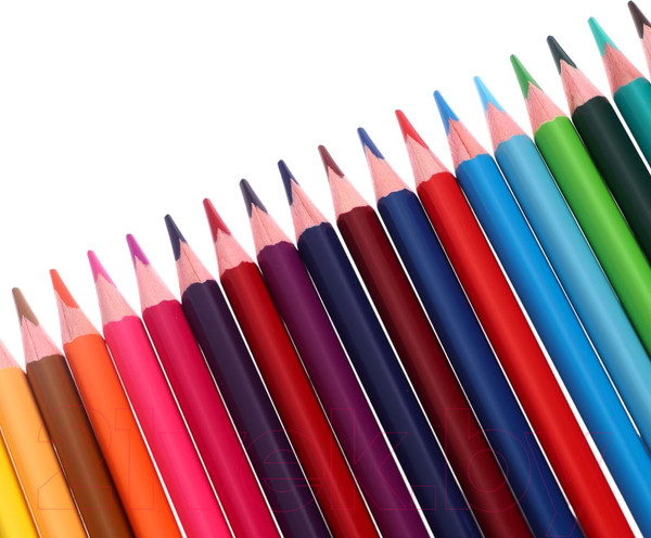 Изображение товара Набор цветных карандашей Erich Krause Safari / 61816 (24цв)