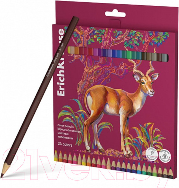 Изображение товара Набор цветных карандашей Erich Krause Safari / 61816 (24цв)