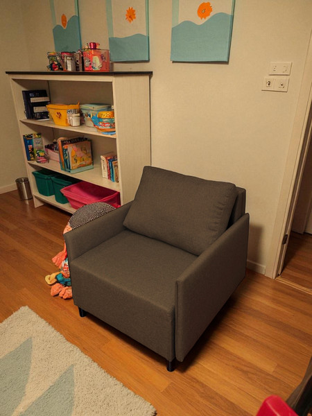 Изображение товара Кресло-кровать Домовой Визит-3 1 (80) (Lux 19)