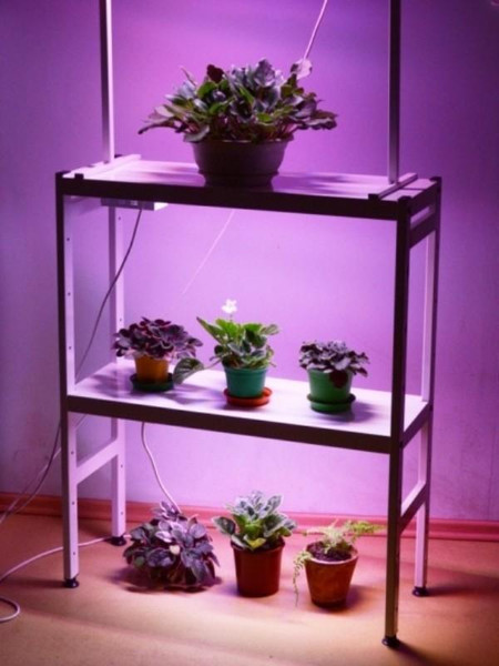 Изображение товара Стеллаж для рассады Петромаш Led 15 / 9603 (белый)