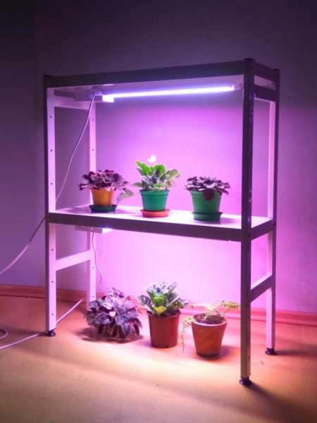 Изображение товара Стеллаж для рассады Петромаш Led 15 / 9603 (белый)