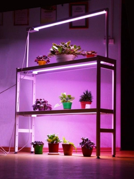 Изображение товара Стеллаж для рассады Петромаш Led 30 / 9604 (белый)