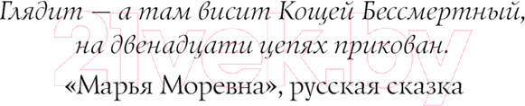 Изображение товара Книга Черным-бело Лихо. Двенадцать железных цепей / 9785041971427 (Лехчина Я.)