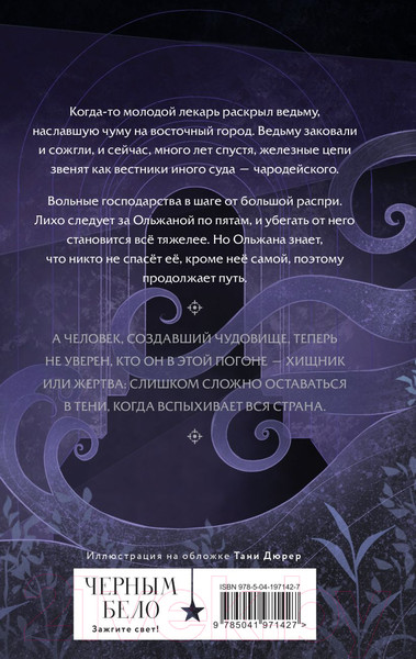 Изображение товара Книга Черным-бело Лихо. Двенадцать железных цепей / 9785041971427 (Лехчина Я.)