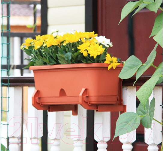 Изображение товара Ящик для рассады Idea М3220 (терракотовый, с поддоном)