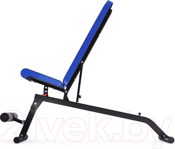 Изображение товара Скамья многофункциональная DFC D848 