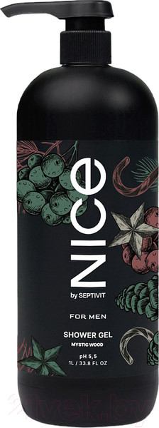 Изображение товара Гель для душа NICE by Septivit Mystic Wood (1л)