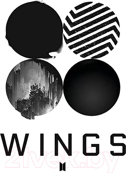 Изображение товара Картина на стекле Stamprint Wings ID003 (30x30)