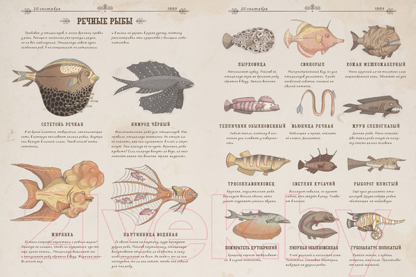 Изображение товара Энциклопедия CLEVER Энциклопедия волшебных существ. Затерянный остров (Кухарска Н.)