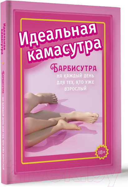Изображение товара Книга АСТ Идеальная камасутра / 9785171602437 (Мэйз А.)