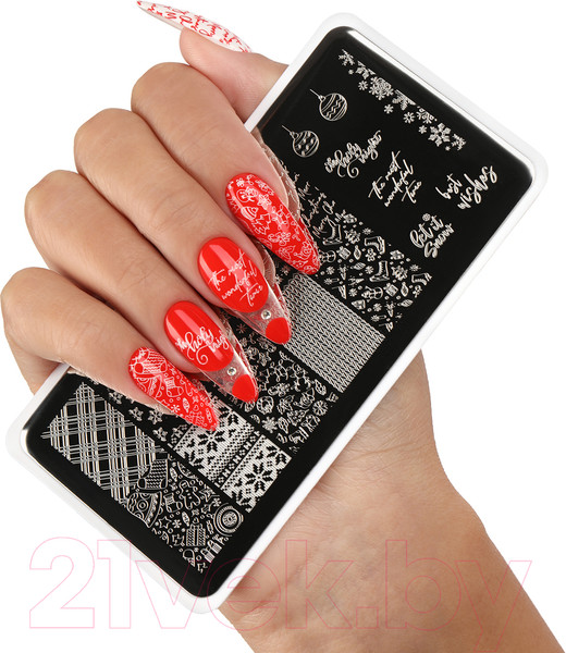 Изображение товара Пластина для стемпинга E.Mi №14 Зимний день