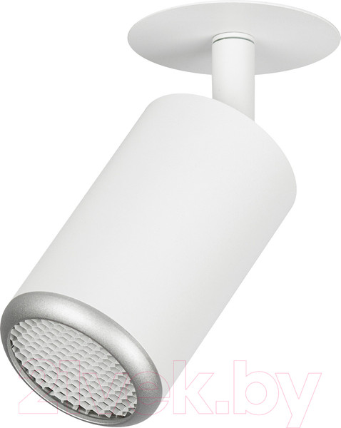 Изображение товара Спот ЭРА KL106 WH/SL / Б0061634