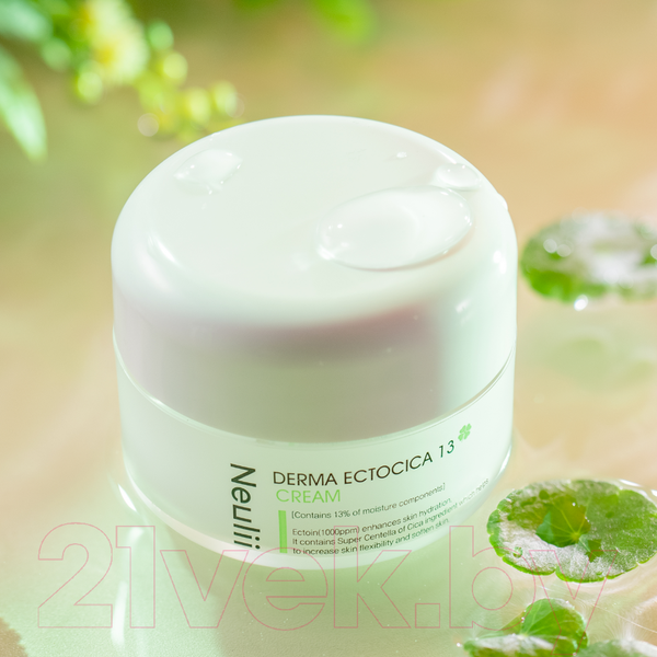 Изображение товара Крем для лица Neulii Derma Ectocica 13 Cream Увлажняющий с эктоином (50мл)
