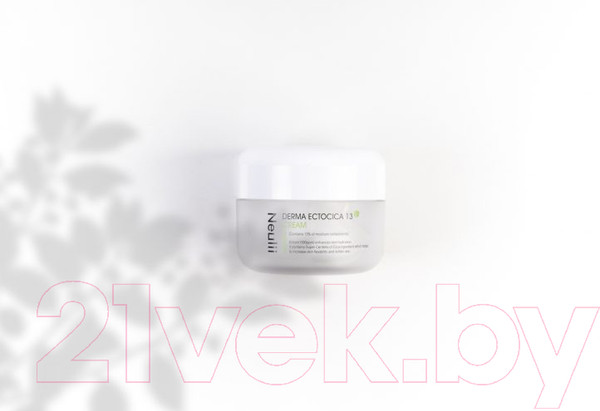 Изображение товара Крем для лица Neulii Derma Ectocica 13 Cream Увлажняющий с эктоином (50мл)