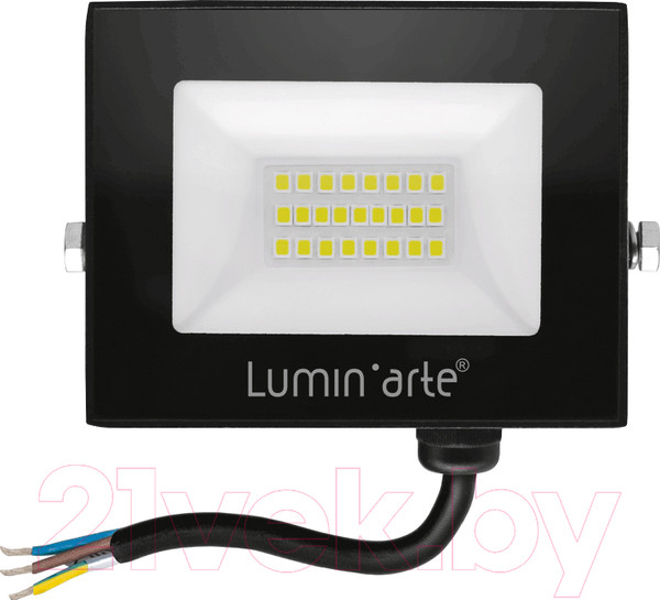 Изображение товара Прожектор LuminArte LFL-20W/06
