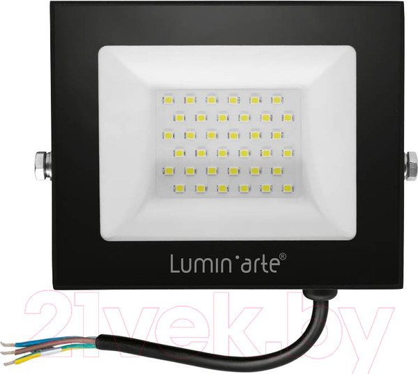 Изображение товара Прожектор LuminArte LFL-50W/06