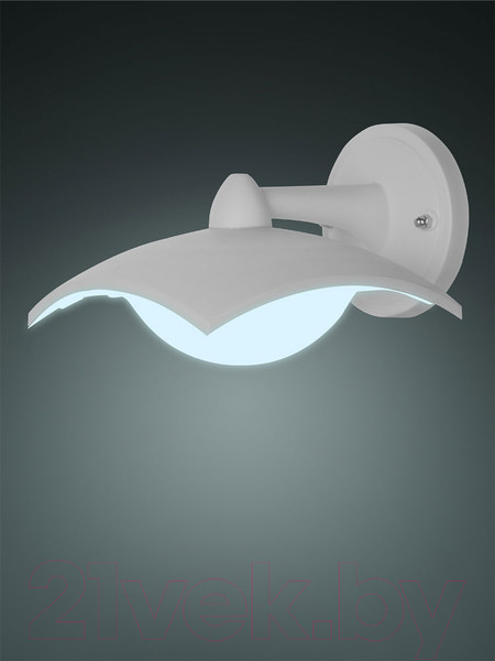 Изображение товара Бра уличное TDM SQ0330-1332