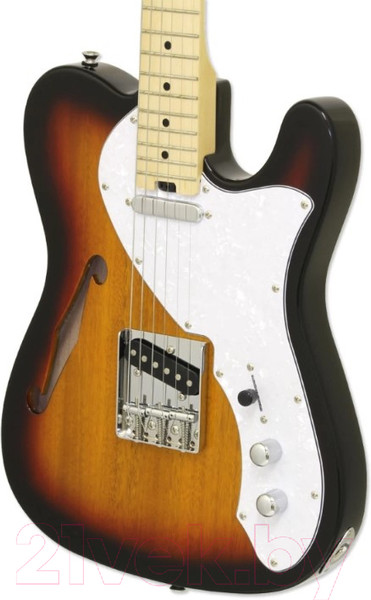 Изображение товара Электрогитара Aria Pro II TEG-TL 3TS