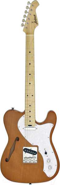 Изображение товара Электрогитара Aria Pro II TEG-TL N