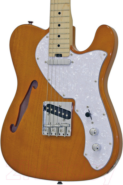 Изображение товара Электрогитара Aria Pro II TEG-TL N