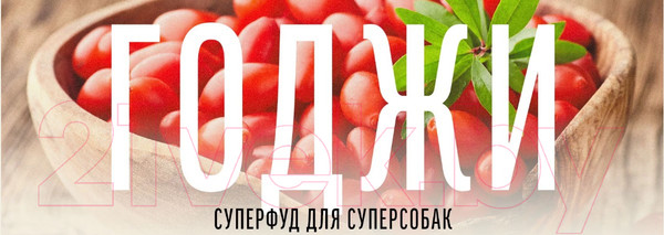 Изображение товара Сухой корм для собак Деревенские лакомства Холистик Премьер Индейка с рисом (12кг)