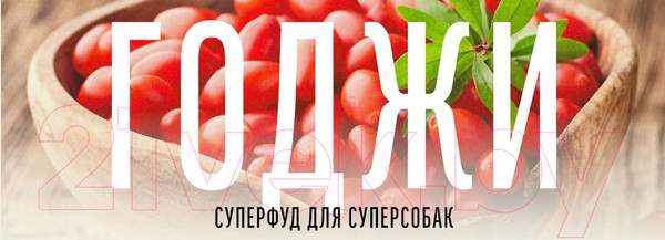 Изображение товара Сухой корм для собак Деревенские лакомства Холистик Премьер. Утка с рисом (2кг)