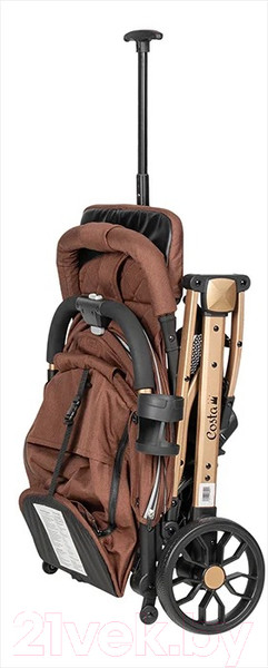Изображение товара Детская прогулочная коляска Costa Linda Comfort / LC-03 (шоколадный)