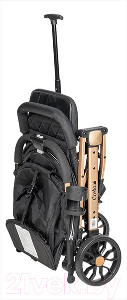 Изображение товара Детская прогулочная коляска Costa Linda Comfort / LC-02 (черный)