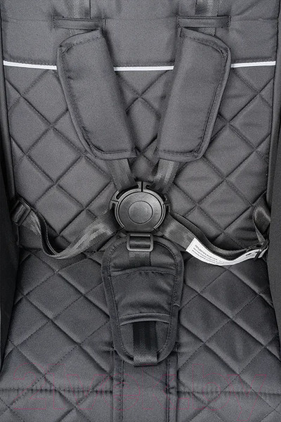 Изображение товара Детская прогулочная коляска Costa Linda Comfort / LC-02 (черный)