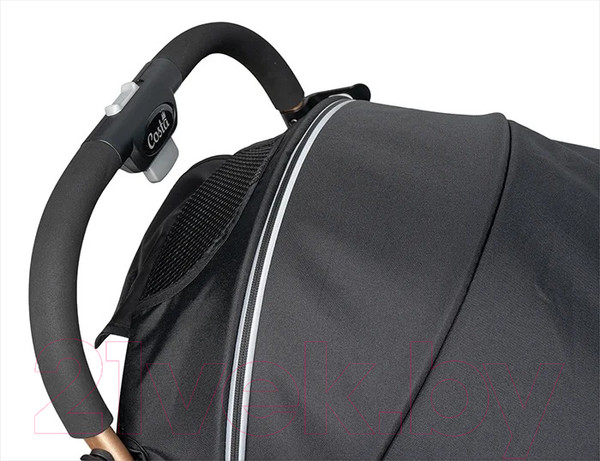 Изображение товара Детская прогулочная коляска Costa Linda Comfort / LC-02 (черный)