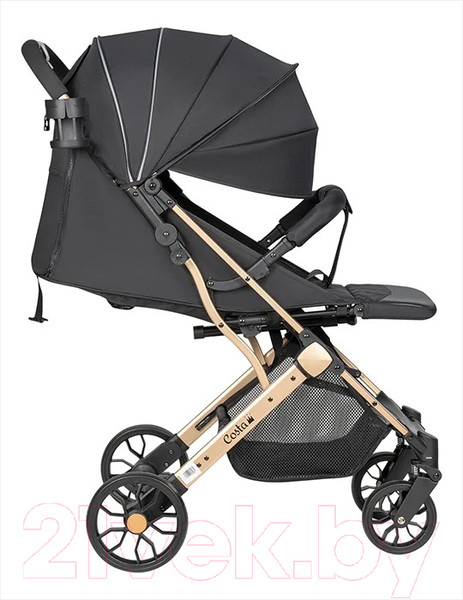 Изображение товара Детская прогулочная коляска Costa Linda Comfort / LC-02 (черный)