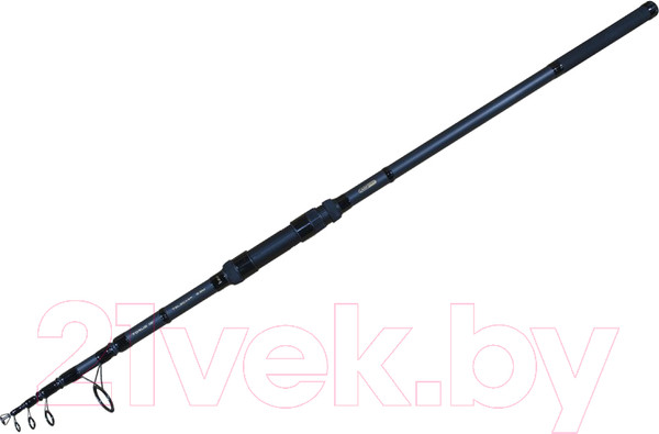 Изображение товара Удилище Carp Pro Torus / TRTC360